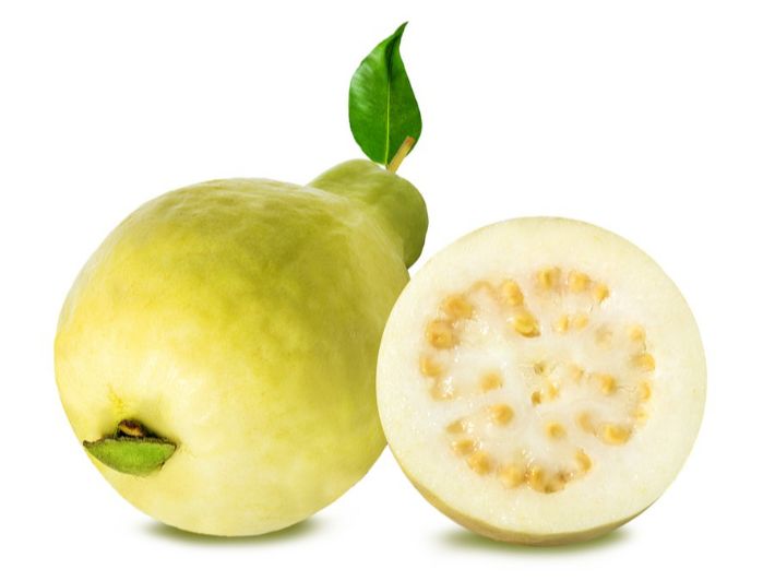 guava fertilization program