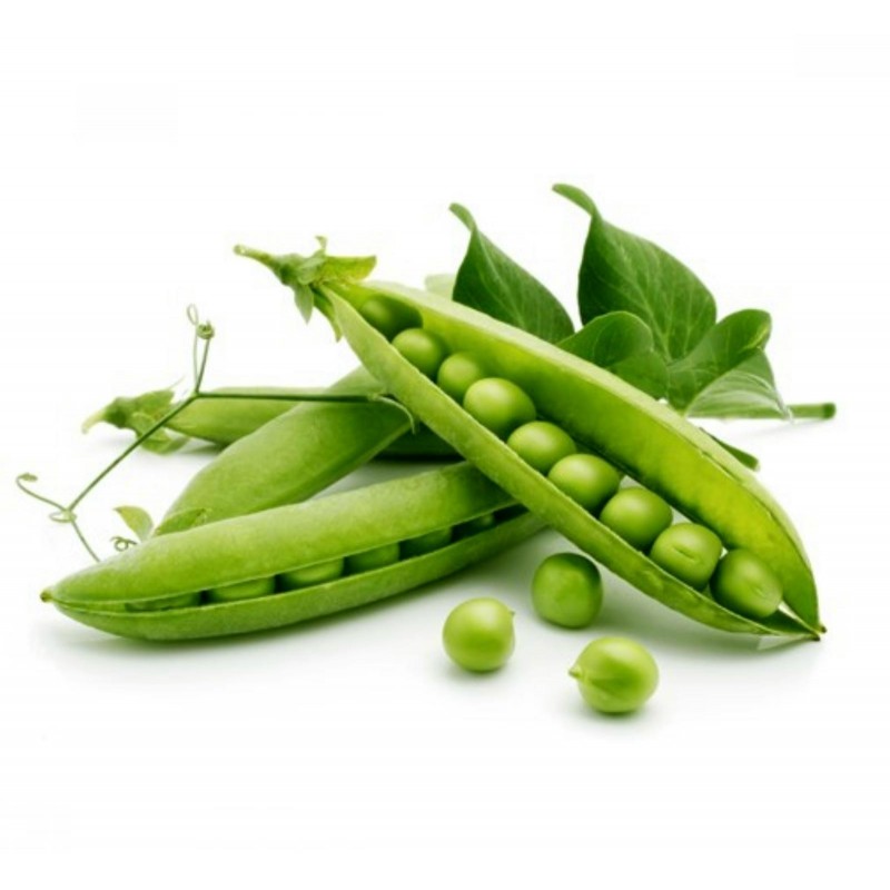 beans Fertilizer program
