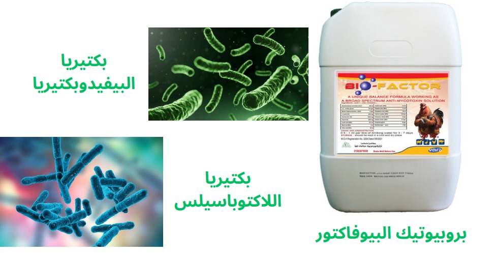 Probiotics
